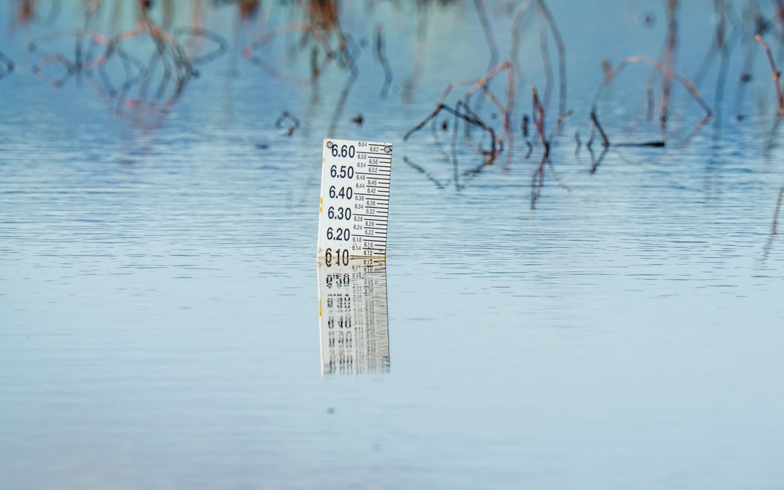 A water level gauge partially submerged in a still flooded wetland with bare branches