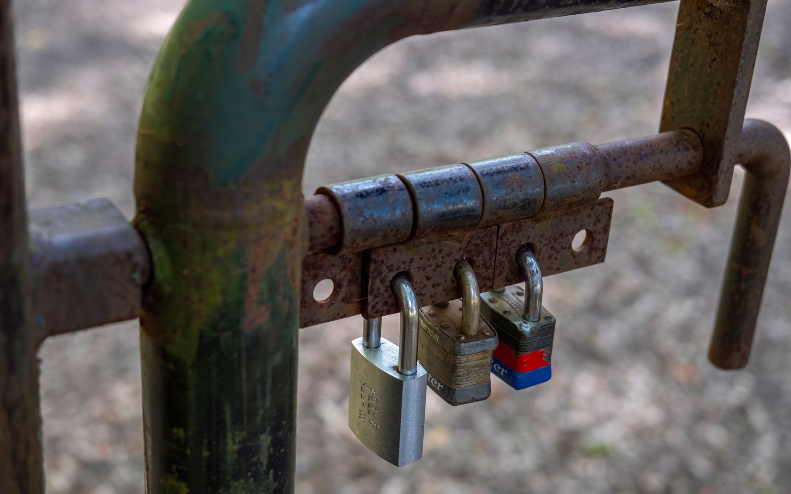 Three padlocks hang from a rusty metal gate hinge outdoors